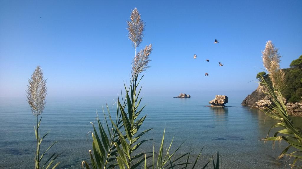 Yaliskari Beach Pelekas Exteriör bild